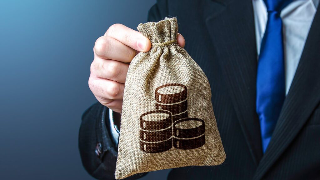 Government Subsidy Support